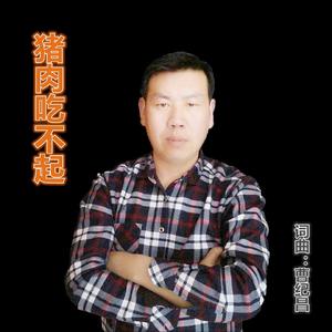 猪肉吃不起 伴奏