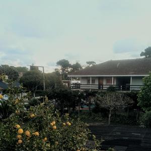 Fué