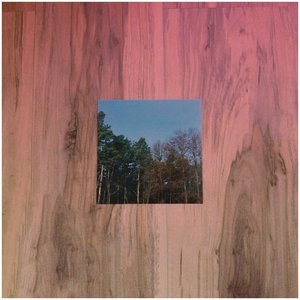 Невероятный