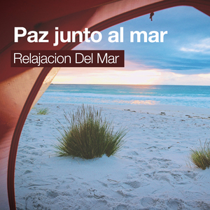 Small Stream, Big Bird Population