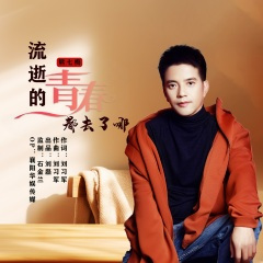 流逝的青春都去了哪 (DJ默涵版)