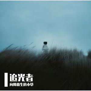 豆包，我想成为你