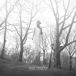 Estridencia Emergente (feat. Iraida Noriega)