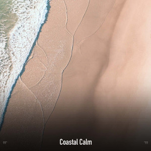 Surf Sounds