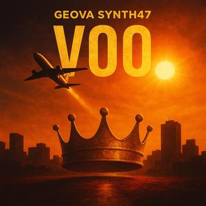 VOO