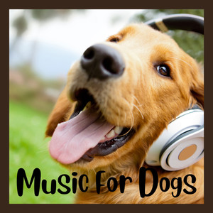 Music for Dogs