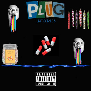 Plug
