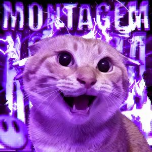 Montagem Hakimi（ 哈基米南北绿豆） 伴奏