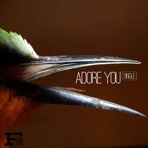 Adore You
