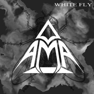 White Fly