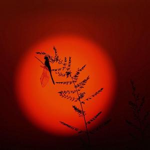 風居住的街道-口琴版（翻自 磯村由紀子）