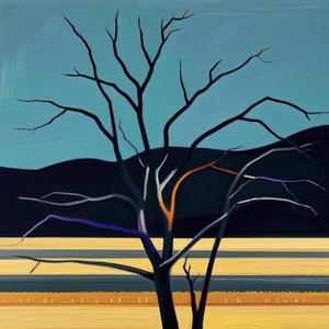 IMG_0422_48khz_16bit.wav