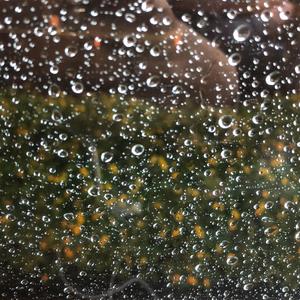 最爱的痛(Lara梁心颐)