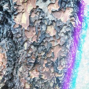 Virabhadra (feat. Francois Lalonde)