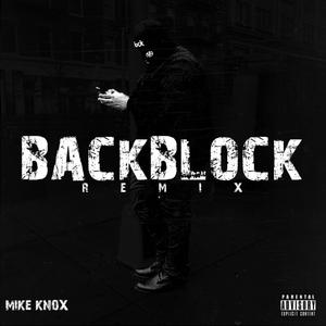 Backblock (feat. Beanie Sigel, Young Chris, Foreign Boy Osama & Quilly) (Remix)