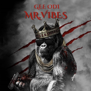 Mr.Vibes