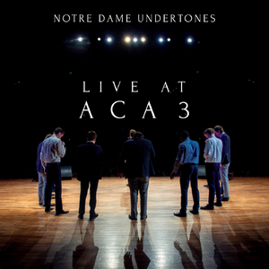 I Did Something Bad (Live)