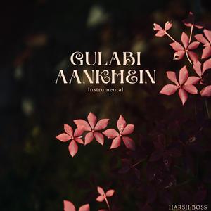 Gulabi Aankhein (Instrumental)