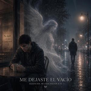 Me Dejaste El Vacio