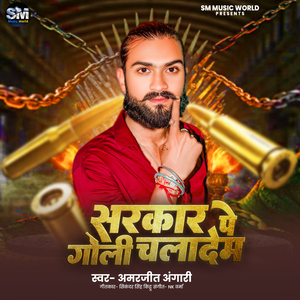 Sarkar Pe Goli Chaladem