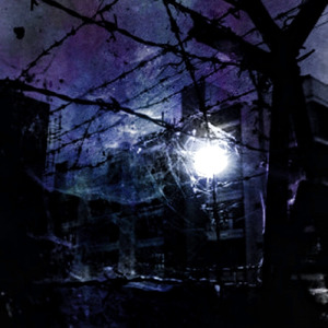 Enbryonic Zone