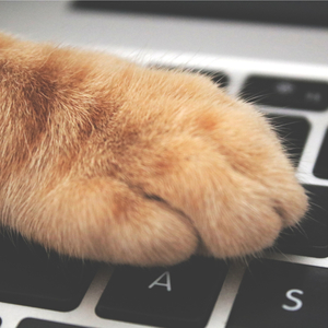 Music for Deep Sleep