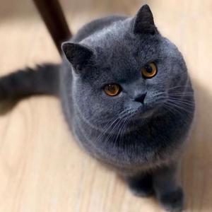 徐小凤-心恋（王成 remix）