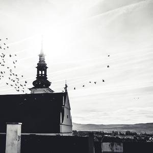 日落大道 (cover. 梁博)