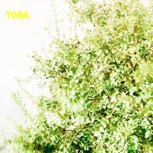 TORA