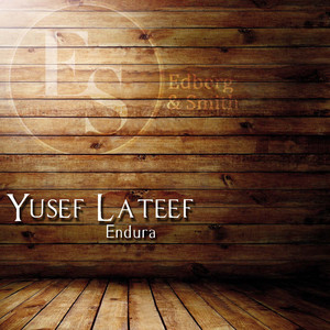 Endura (Original Mix)