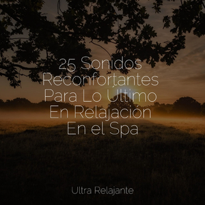 Sueños Curativos
