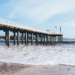 落木萧萧下 (钢琴曲)