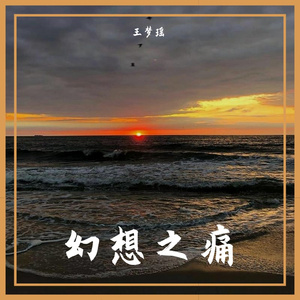 幻想之痛(聪聪版)