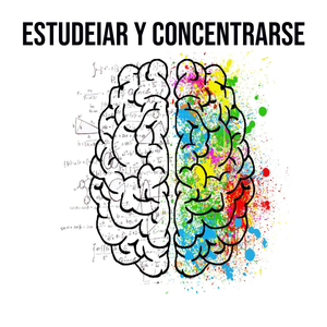 Estudeiar Y Concentrarse
