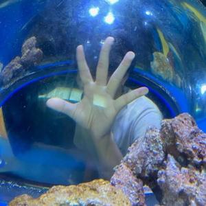 Drug=love (feat. Koi)