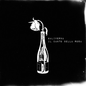 Il canto della rosa