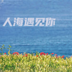 人海遇见你