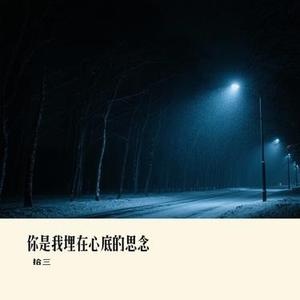 你是我埋在心底的思念(Cover 张良)