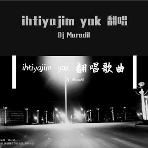 ihtiyajim yok 翻唱