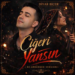 Diyar Biçer - Ciğeri Yansın (Re-Arranged Version)