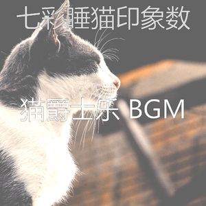 抚慰的睡猫回忆