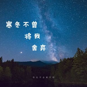 林间的低语 (治愈)