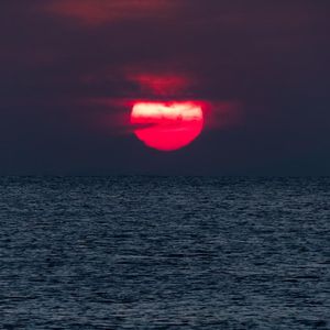 清欢逸韵漫人间