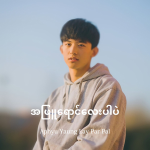 အဖြူရောင်လေးပါပဲ (Aphyu Yaung Lay Par Pal) Slowed [Alpha Hein]