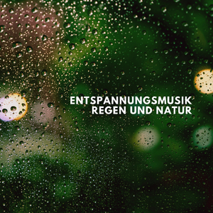 Entspannungsmusik: Regen und Natur (33)