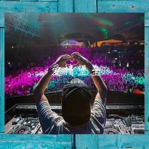 爱情堡垒 (抖音版)