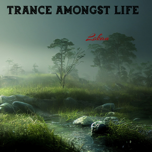 Trance Amongst Life