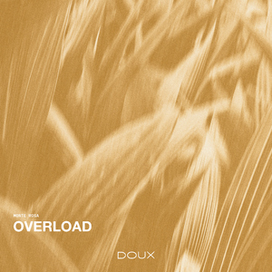 Overload