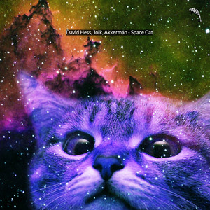 Space Cat (Original Mix)