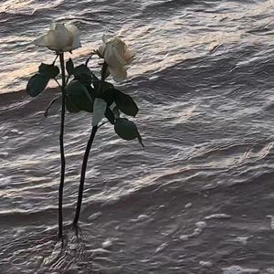 花开未了demo（prod by Lyoung）